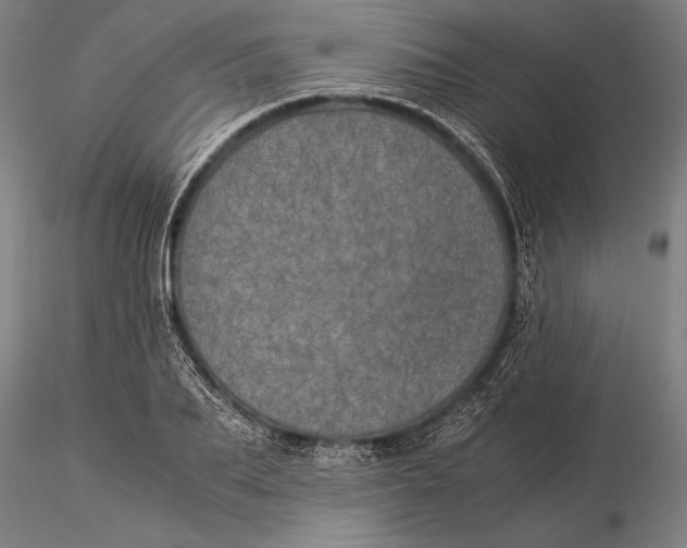 X0000116050887200912111501