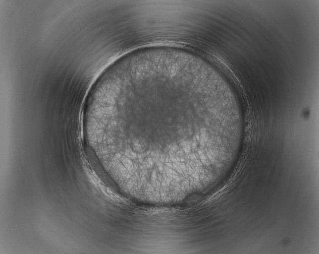 X0000116050892200912111501