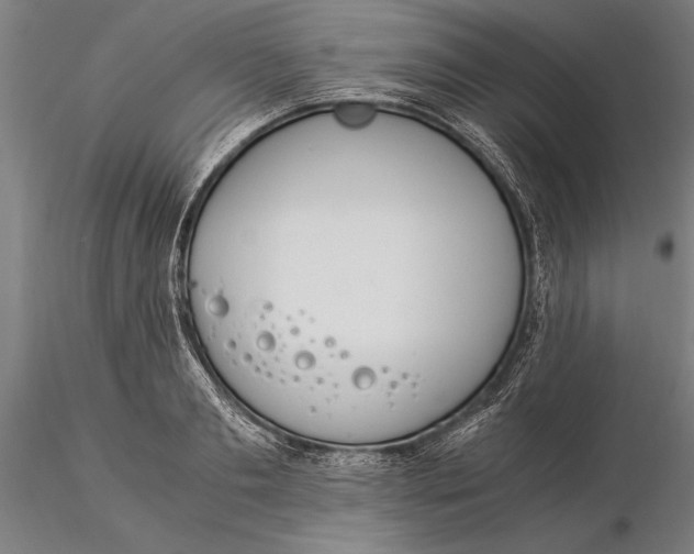 X0000116050893200912111501