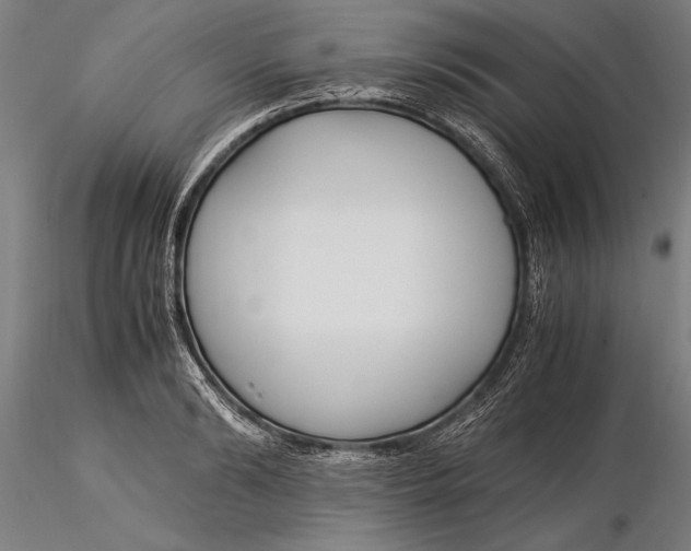 X0000116050894200912111501