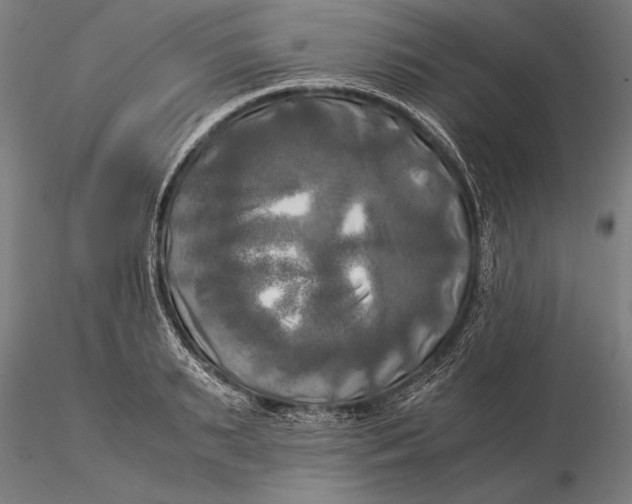 X0000116050895200912111501