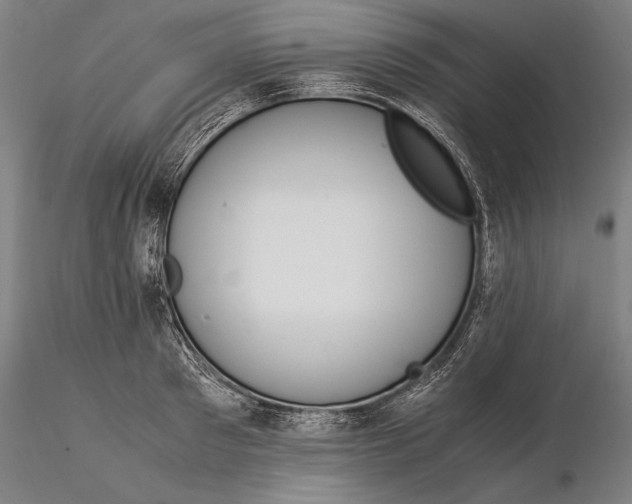 X0000116050897200912111501