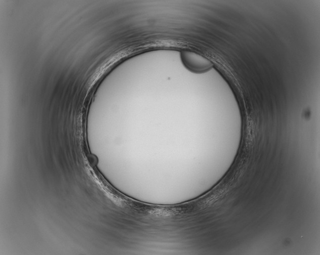 X0000116050898200912111501