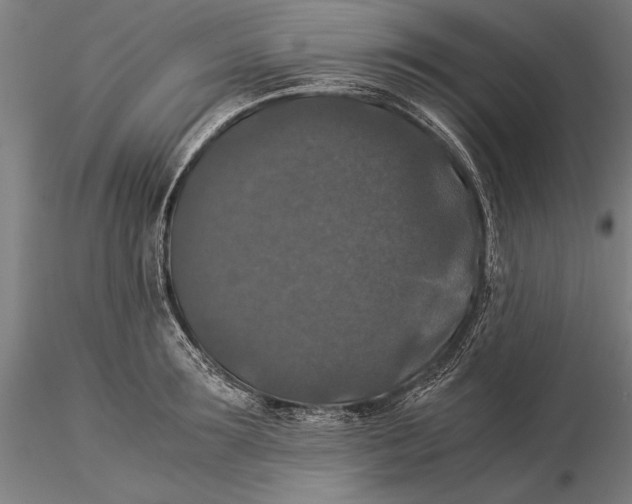 X0000116050899200912111501
