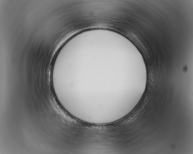 X0000116050900200912111501
