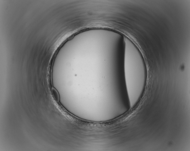 X0000116050901200912111501