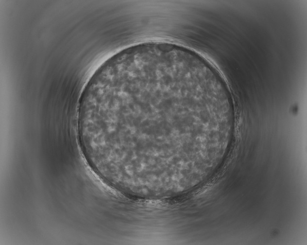 X0000116050903200912111501