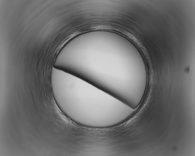 X0000116050905200912111501
