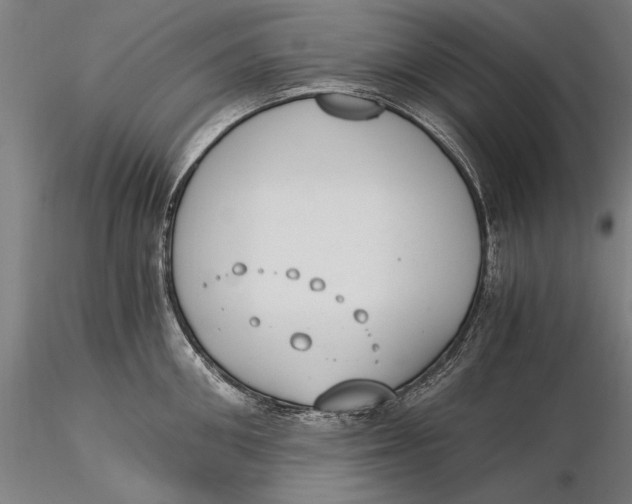 X0000116050906200912111501