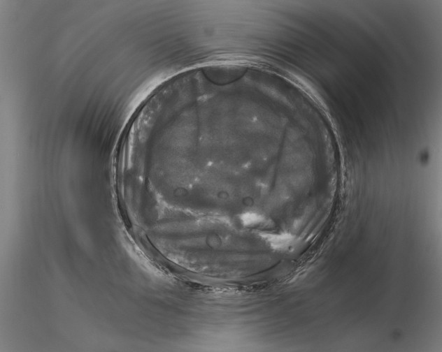 X0000116050907200912111501