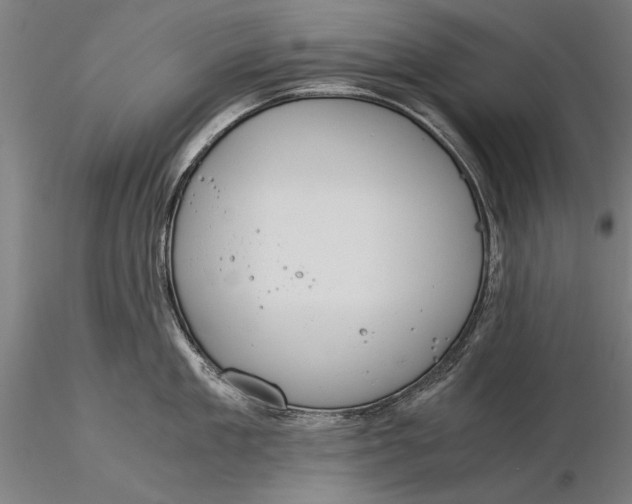 X0000116050909200912111501