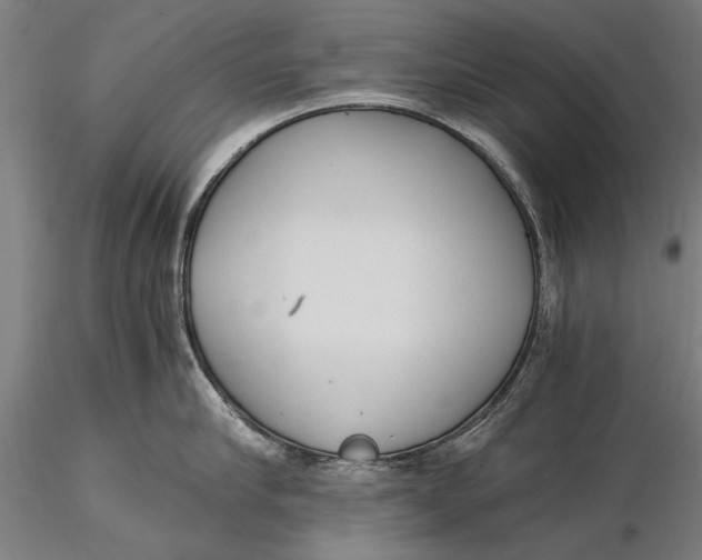 X0000116050910200912111501