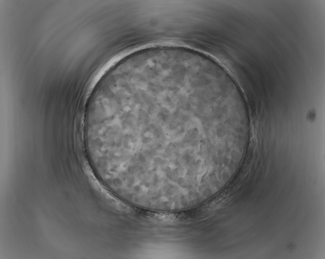 X0000116050911200912111501