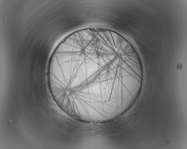 X0000116050912200912111501