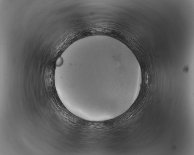 X0000116050915200912111500