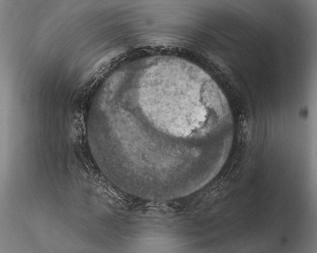 X0000116050918200912111500