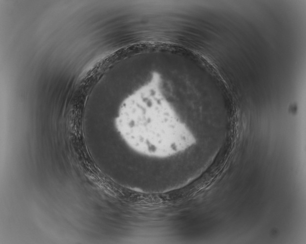 X0000116050919200912111500