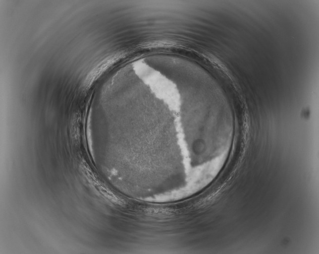 X0000116050921200912111500