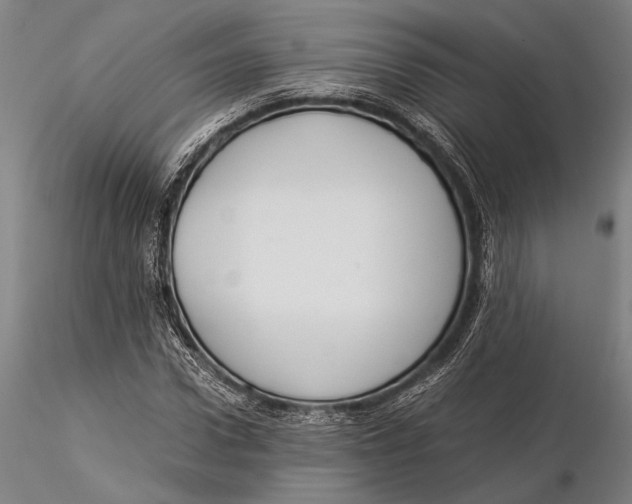 X0000116050922200912111500