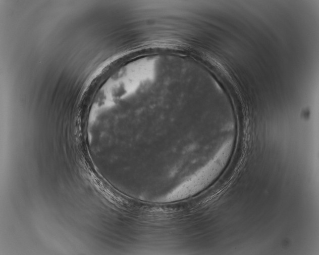 X0000116050923200912111500
