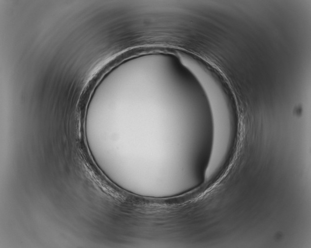 X0000116050925200912111500