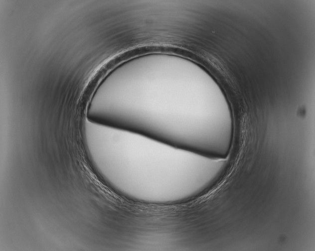 X0000116050926200912111500