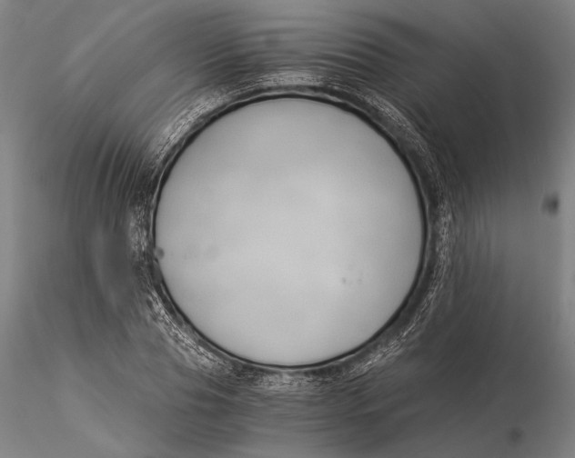 X0000116050929200912111500