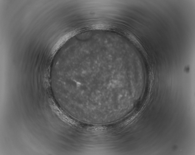 X0000116050930200912111500