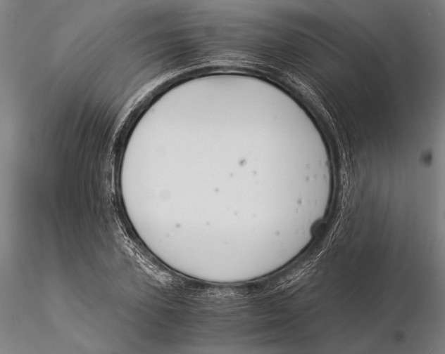 X0000116050931200912111500