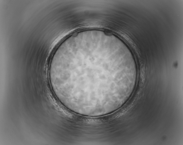 X0000116050933200912111500