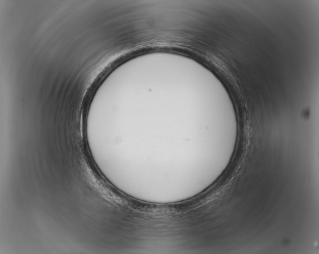 X0000116050934200912111500