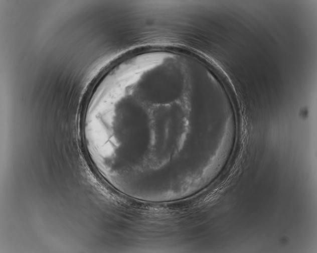 X0000116050935200912111500