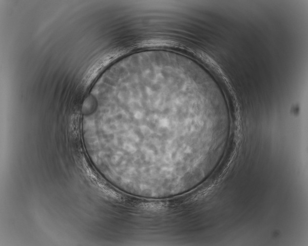 X0000116050937200912111501