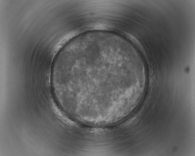 X0000116050938200912111501