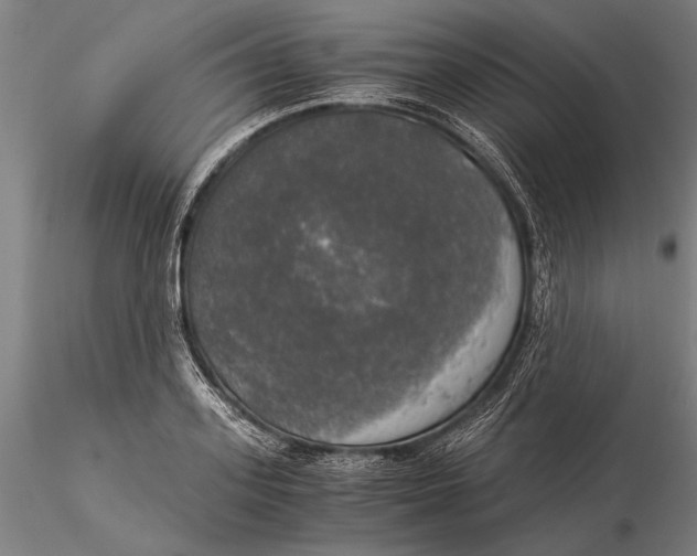 X0000116050939200912111501