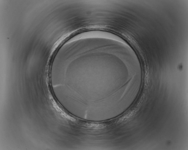 X0000116050941200912111501
