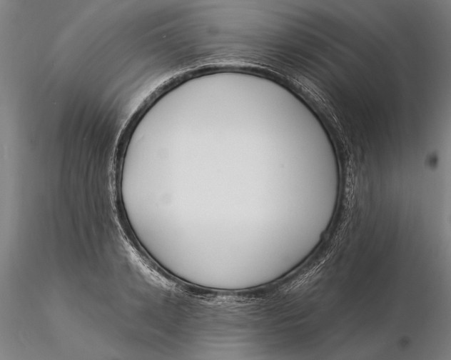 X0000116050942200912111501