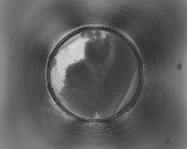 X0000116050943200912111501