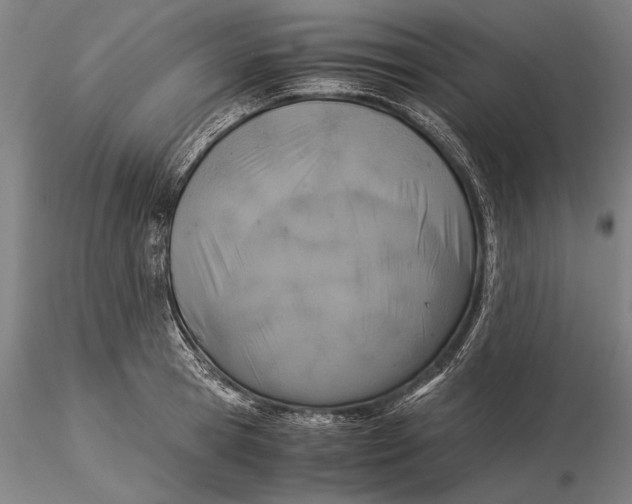X0000116050945200912111501
