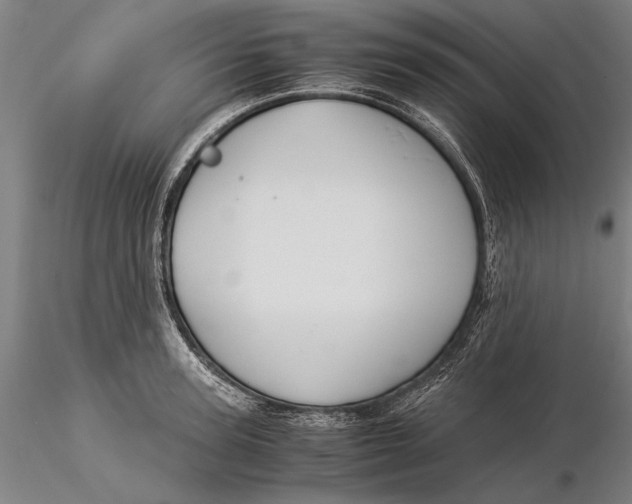 X0000116050947200912111501