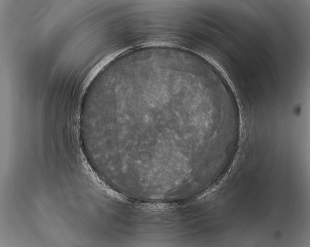 X0000116050949200912111501