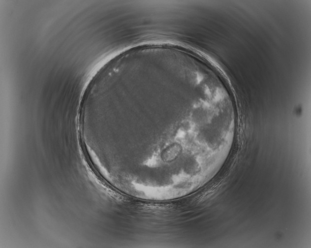 X0000116050951200912111501