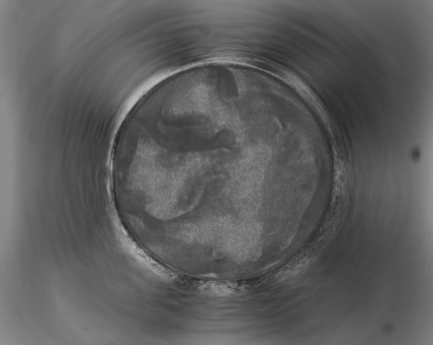 X0000116050955200912111501