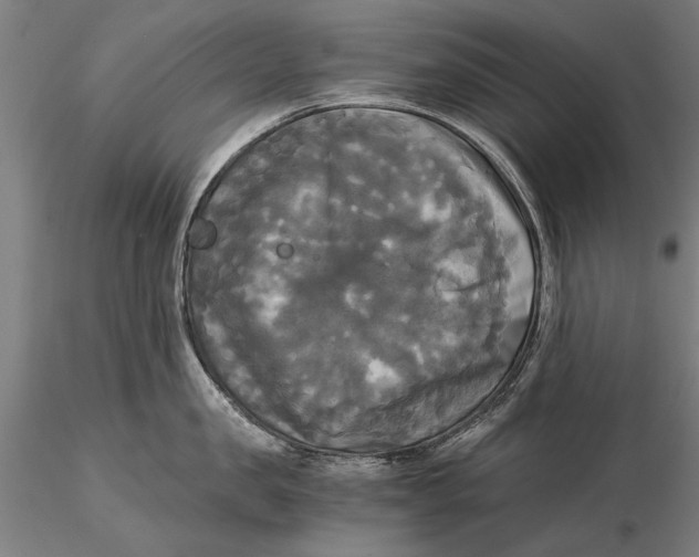 X0000116050957200912111501