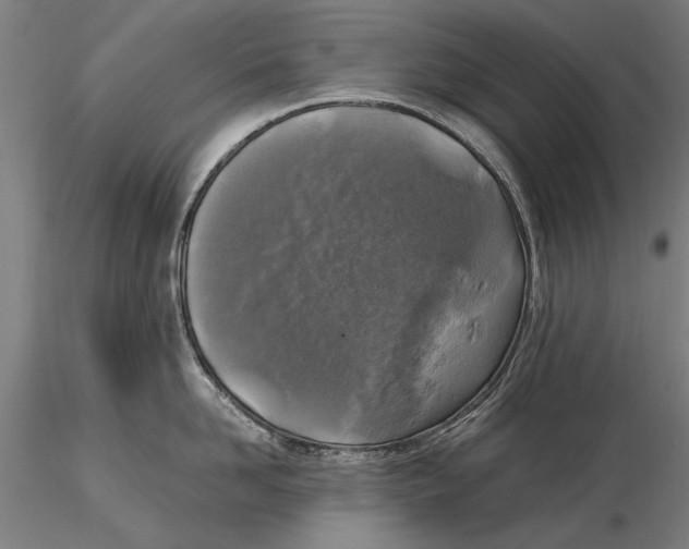 X0000116050958200912111501