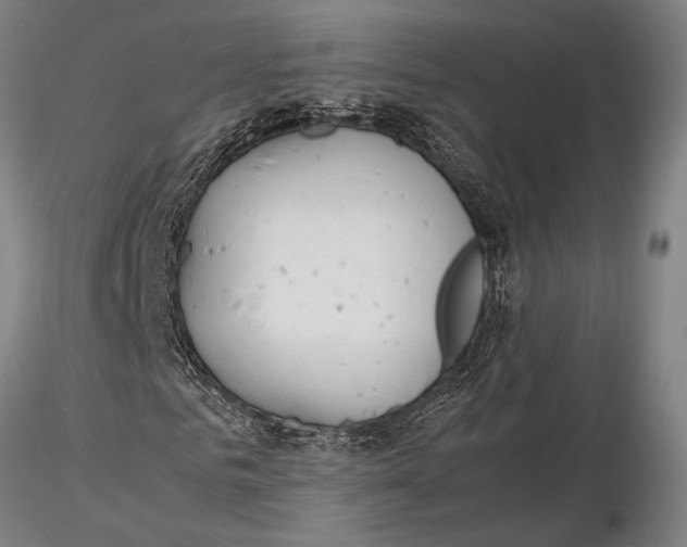 X0000116050961200912111500