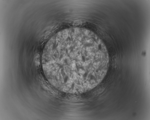 X0000116050962200912111500
