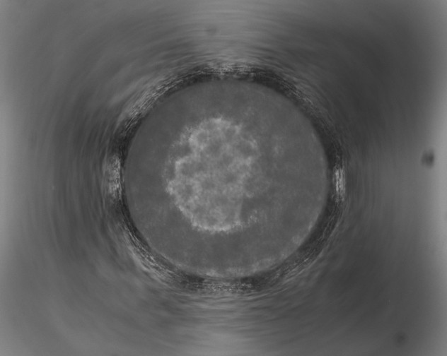 X0000116050963200912111500
