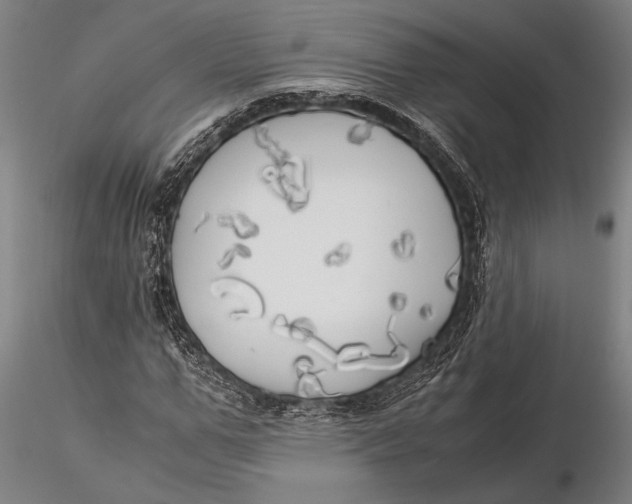 X0000116050967200912111500