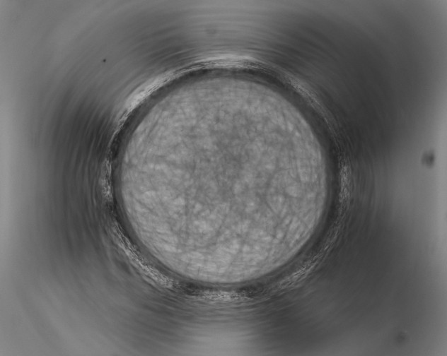 X0000116050970200912111500